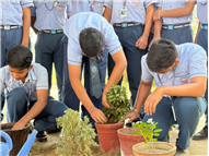 World Environment Day Celebration