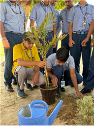 World Environment Day Celebration