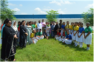 Tree plantation
