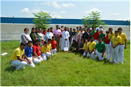 Tree plantation