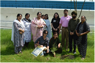 Tree plantation