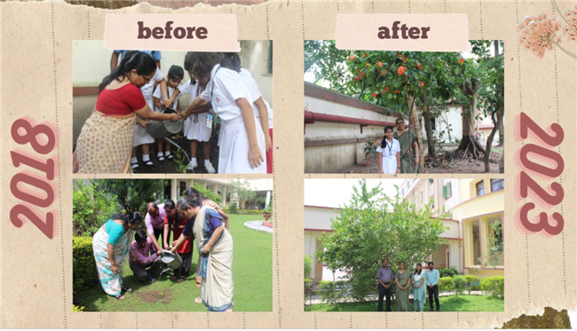 Van Mahotsav Assembly