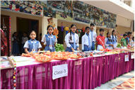GLIMPSE OF 2024-25