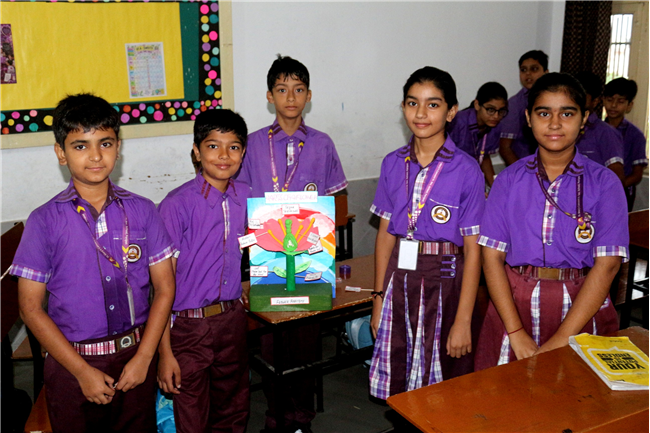 NON-WORKING MODEL ACTIVITY OF CLASS VI