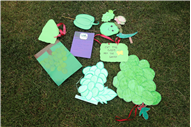 GREEN DAY ACTIVITY OF U.K.G