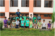 GREEN DAY ACTIVITY OF U.K.G