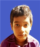 harman 