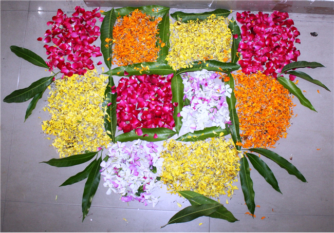 Diwali Celebration 2025