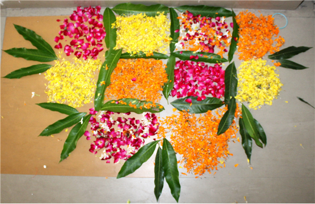 Diwali Celebration 2025