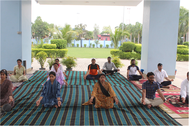 Yoga Day Celebration 2025