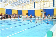 Aquatic Meet