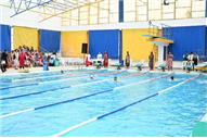 Aquatic Meet