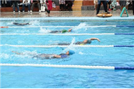 Aquatic Meet
