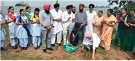 Our Lady of Fatima Convent School, Assarpur Celebrates Van Mahotsav with Great Zeal