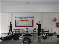 Constitution Day (Social Science Week)Celebrations