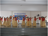 Diwali celebration