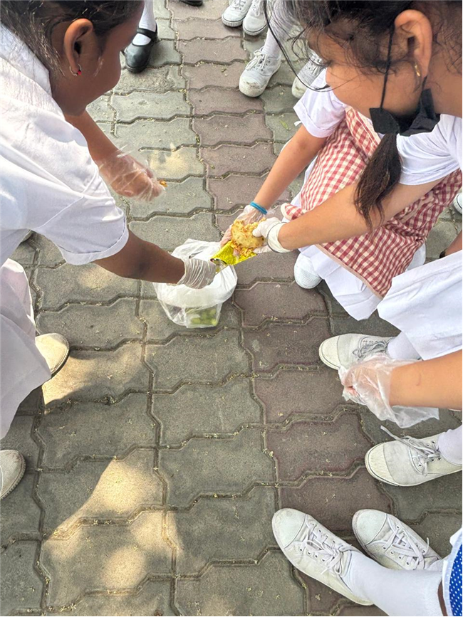 JPIC - Fostering Social Responsibility and Environmental Awareness