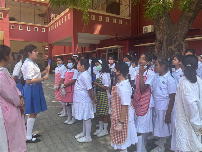 JPIC - Fostering Social Responsibility and Environmental Awareness