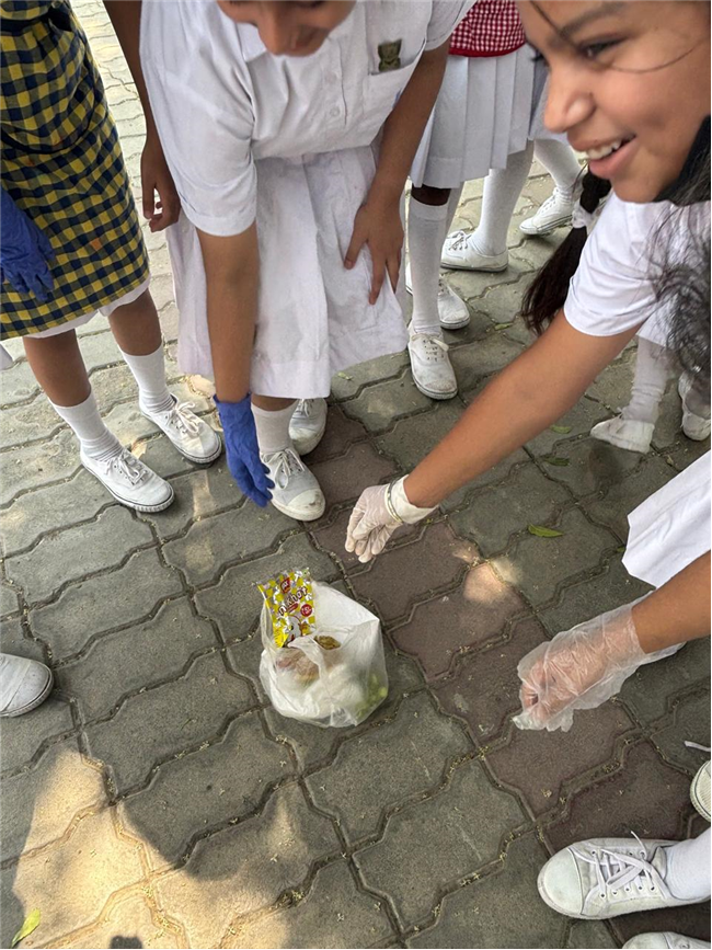 JPIC - Fostering Social Responsibility and Environmental Awareness