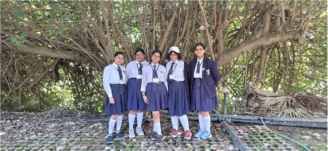 School Picnic – Classes 10 and 12