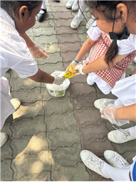 JPIC - Fostering Social Responsibility and Environmental Awareness