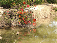 School Picnic – Classes 10 and 12