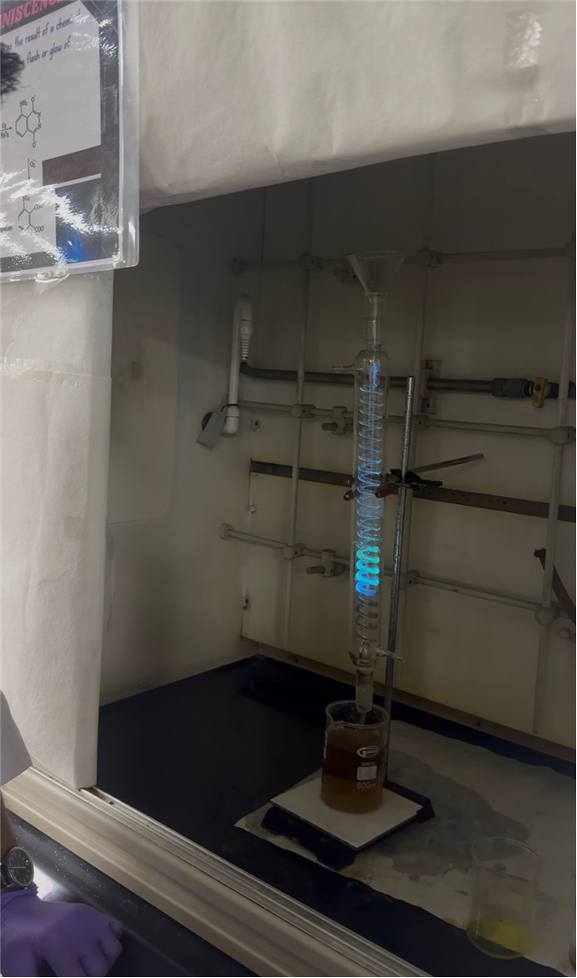 VISIT TO THE INDIAN INSTITUTE OF TECHNOLOGY DELHI OPEN HOUSE 2025 - SENIOR SCHOOL