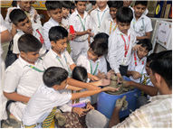 PANCHATATVA WEEK - HONOURING THE FIVE ELEMENTS OF NATURE (MIDDLE SCHOOL)