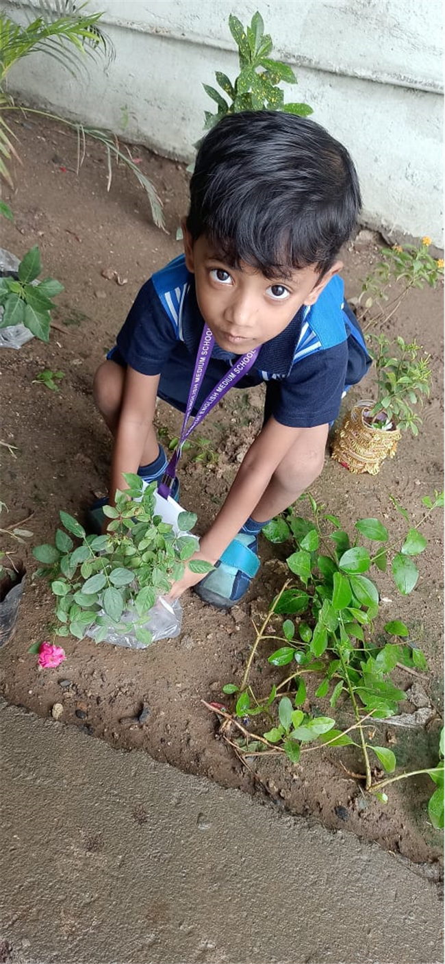 Pre- Primary : Environment Day Activity