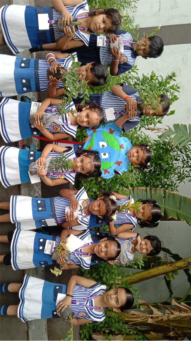 Pre- Primary : Environment Day Activity