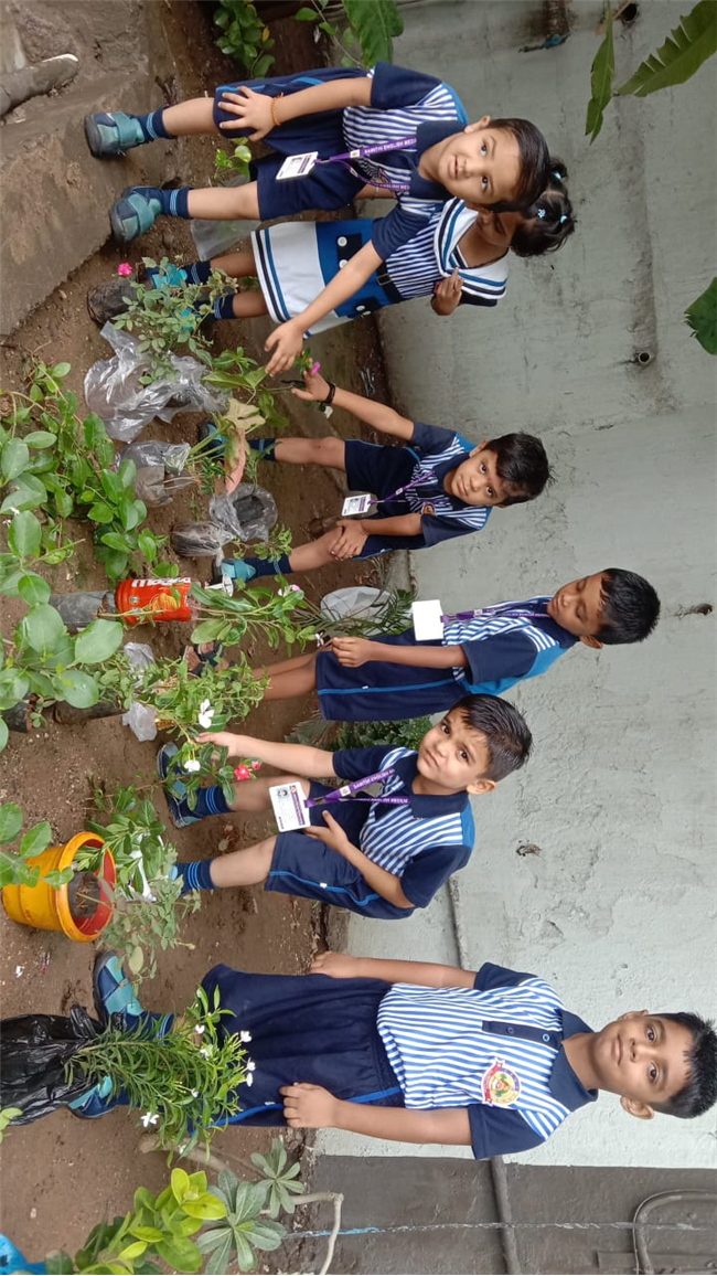Pre- Primary : Environment Day Activity
