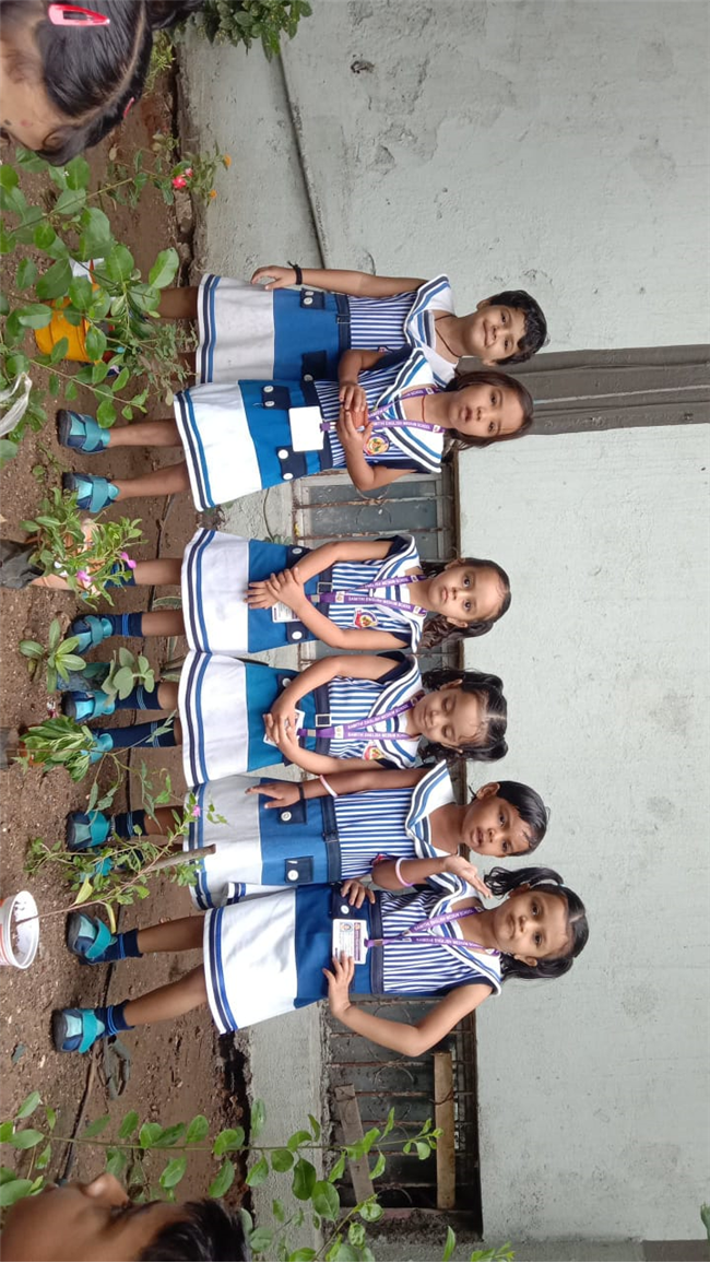Pre- Primary : Environment Day Activity