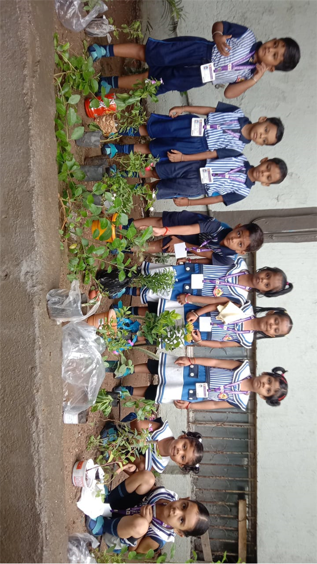 Pre- Primary : Environment Day Activity