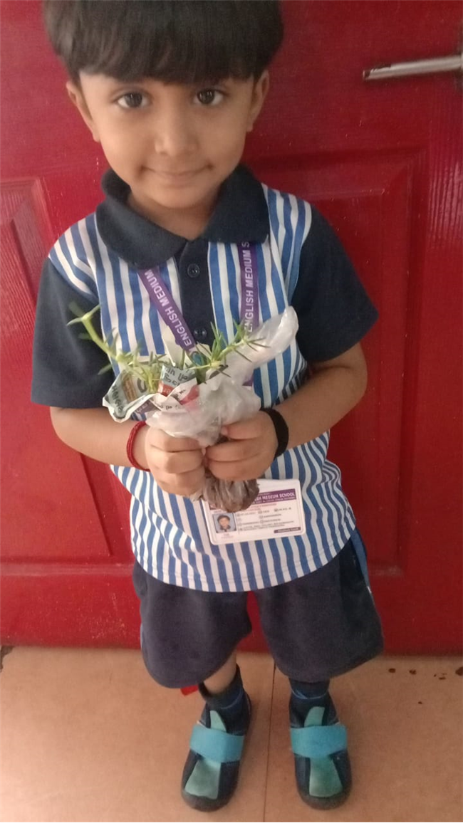 Pre- Primary : Environment Day Activity