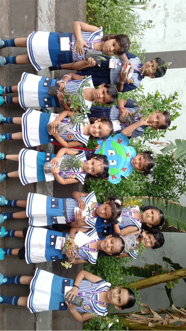 Pre- Primary : Environment Day Activity