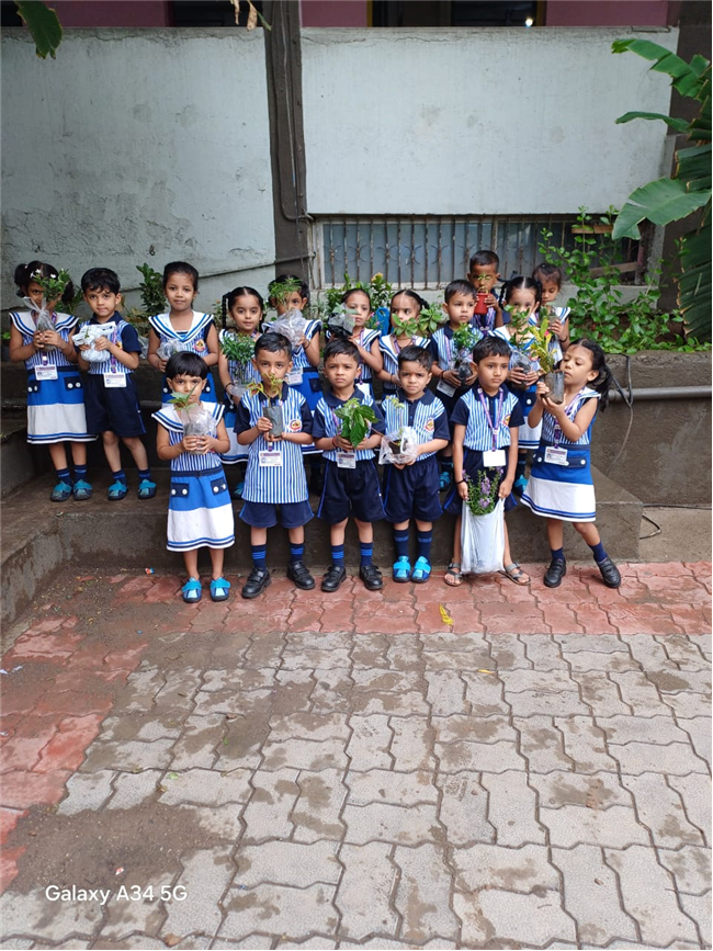 Pre- Primary : Environment Day Activity