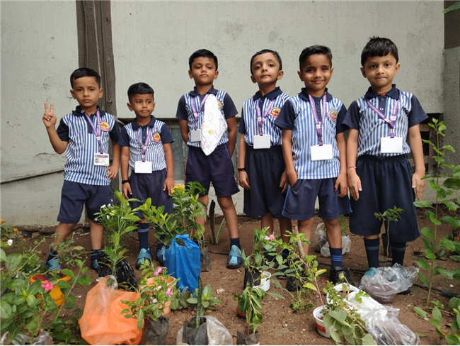 Pre- Primary : Environment Day Activity