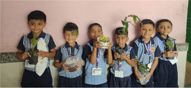 Pre- Primary : Environment Day Activity