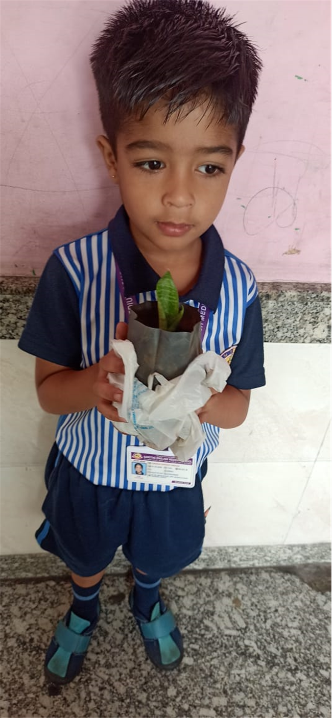 Pre- Primary : Environment Day Activity