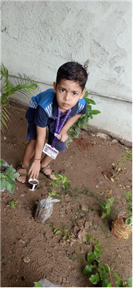 Pre- Primary : Environment Day Activity