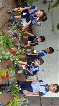 Pre- Primary : Environment Day Activity