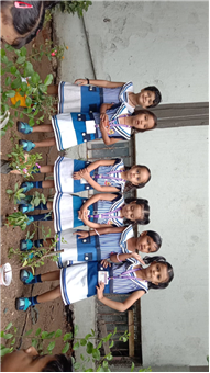 Pre- Primary : Environment Day Activity