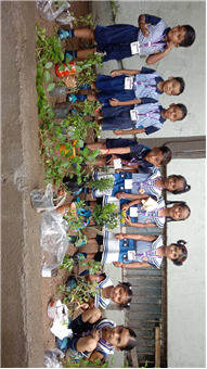 Pre- Primary : Environment Day Activity