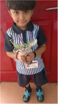 Pre- Primary : Environment Day Activity