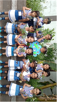 Pre- Primary : Environment Day Activity