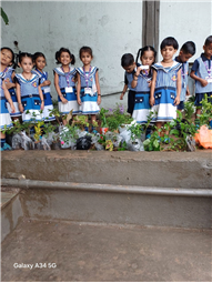 Pre- Primary : Environment Day Activity