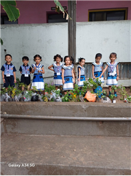 Pre- Primary : Environment Day Activity