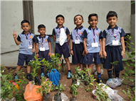 Pre- Primary : Environment Day Activity