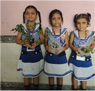 Pre- Primary : Environment Day Activity