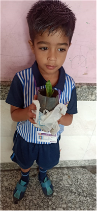 Pre- Primary : Environment Day Activity